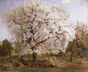 Carl Fredrik Hill apple tree in blossom Spain oil painting artist